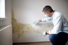 Best Crawl Space Mold Remediation  in Bartonville, TX